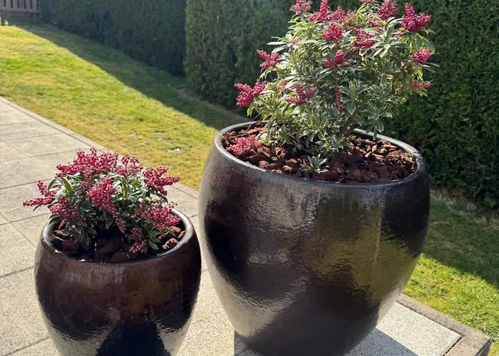 Tannenjaeger * Langenhain (Werra-Meissner)